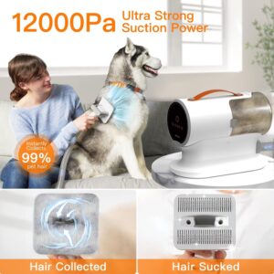 AIRROBO Dog Grooming Vacuum Kit,12000Pa Strong Pet Vacuum for Shedding,Grooming Hai,Quiet,PG100,2L Large Capacity - with 5 Tools #83